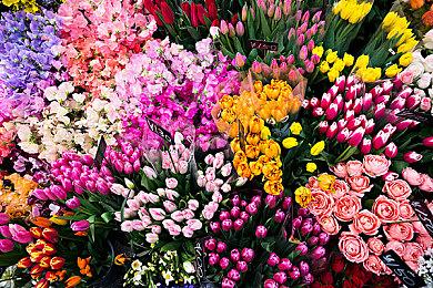 《妮姬：胜利女神》宣布联动《新世纪福音战士》 上线时间待定