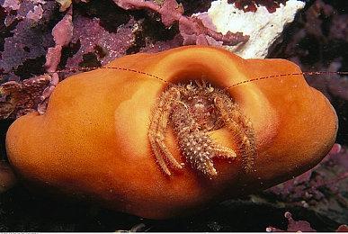 CDPR帮玩家将《2077》Stadia存档转移至其他平台