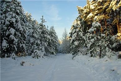 《人中之龙8》春日·桐生专用职业等角色初始职业以及部分新增职业现已公开
